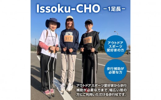 ウォーキングポール Issoku-CHO（1足長） オールブラック 1本 杖 歩行補助 特許取得 グッドデザイン賞 アウトドアスポーツ 山登り トレッキング ハイキング 登山 ウォーキング  R170