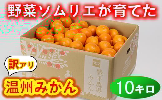 【訳あり・規格外品】野菜ソムリエ石児さんの「温州みかん 10kg」 ミカン みかん 蜜柑 柑橘 10kg 柑橘類 訳あり 甘い 温州みかん フルーツ ＜103-005＞