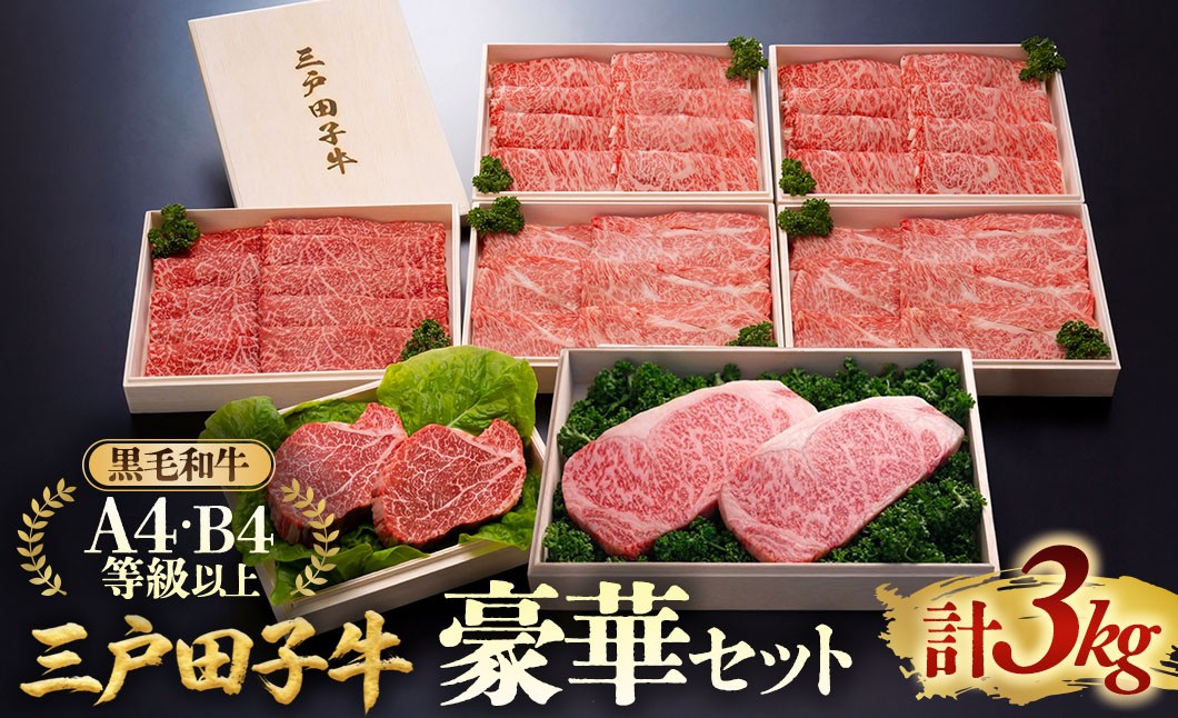
                  「三戸田子牛」黒毛和牛 豪華セット3kg A4・B4等級以上 食べ比べ 牛肉セット 青森県 三戸町 AP-19-014
                
