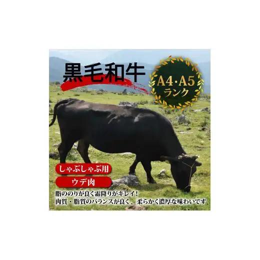 【 黒毛和牛 】 黒毛和牛しゃぶしゃぶ用1.2kg