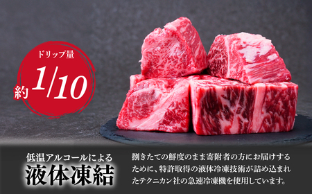 とちぎ和牛のヒレ肉 4~5枚 総量 約500g 【栃木県共通返礼品】| 和牛 ヒレ  栃木県 茂木町