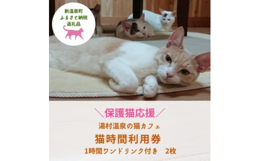 
＜保護猫応援＞湯村温泉の猫カフェ　猫時間の1時間利用券(ワンドリンク付き)2枚【1422388】
