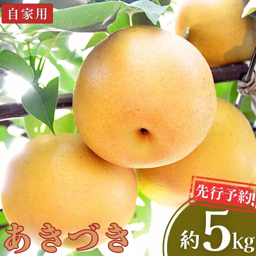 先行予約 和梨 あきづき 自家用 約5kg 令和8年度 新潟フルーツ 新潟県産