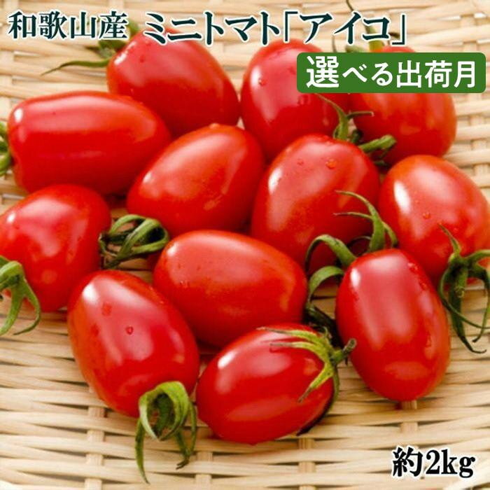 【ふるさと納税】［2026年5月出荷分］和歌山産ミニトマト「アイコトマト」約2kg（S・Mサイズおまかせ）［TM165］ | 和歌山県 和歌山市 和歌山 楽天ふるさと 納税 支援品 返礼品 お取り寄せグルメ お取り寄せ 取り寄せ グルメ トマト アイコ とまと ミニトマト 野菜 やさい