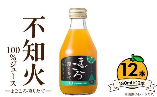 
                  【まごころ搾りたて】不知火 100%ジュース 180ml × 12本_ZE6435
                