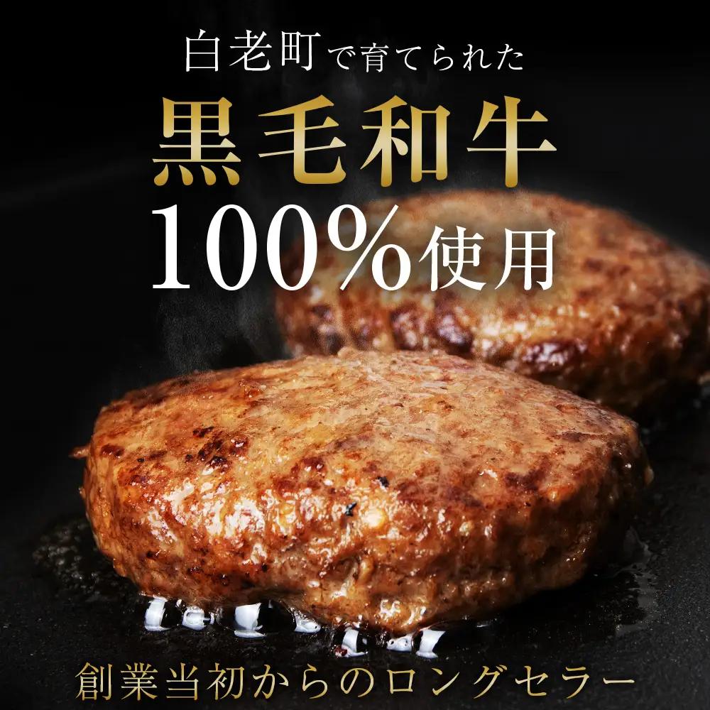 いわさき黒毛和牛 創業ハンバーグ 120g×5個 AB021