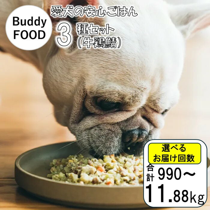 【ふるさと納税】完全国産・獣医師オススメの愛犬の安心ごはん【Buddy FOOD バディフード （ドッグフード）】 3種セットA（牛鶏鯖）AS-849 犬 ペットフード ドッグフード バディフード 国産 愛犬の安心 定期便 ごはん セット バディケア 鹿児島県 薩摩川内市 送料無料