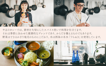 「おうちでやまのカレー」 季節の冷凍カレー3食セット 200g×3袋 専用BOX入り　カレー スパイス 薬膳 アーユルヴェーダ グルテンフリー 冷凍