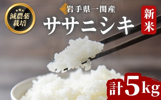 《令和8年産 新米》 ササニシキ 5kg ＜精米＞ 一関市産 ささにしき 白米 ご飯 ごはん おにぎり お弁当 お米 おこめ 米 コメ 希少品種 しゃり 寿司 おすし【succhan farm】