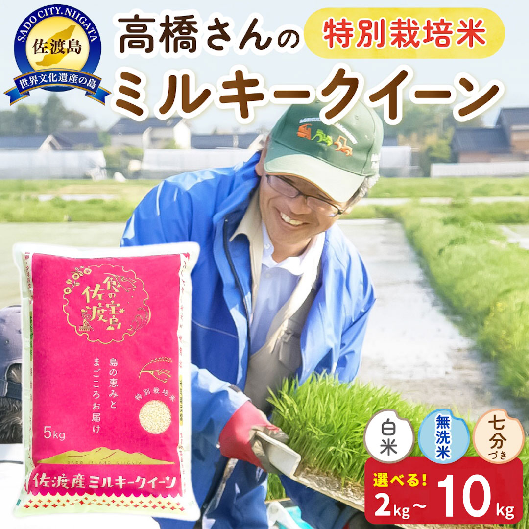 【ふるさと納税】米 ミルキークイーン 新潟 2kg 4kg 5kg 10kg 選べる 白米 無洗米 七分づき 令和8年産 精米 特別栽培米 佐渡島産 高橋農園 もちもち 粘り こめ コメ ブランド米 ごはん おにぎり お弁当 おすすめ お取り寄せ 新潟県 佐渡市