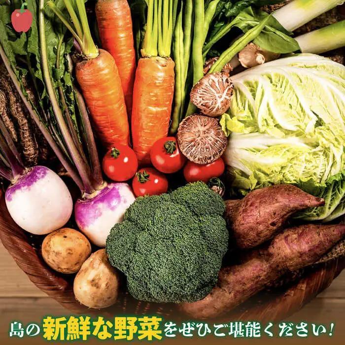 【全3回定期便】旬の野菜セット 7品 [JBO044] 野菜 詰め合わせ