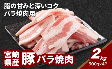 宮崎県産豚バラ焼肉 2㎏_K16_0187_1