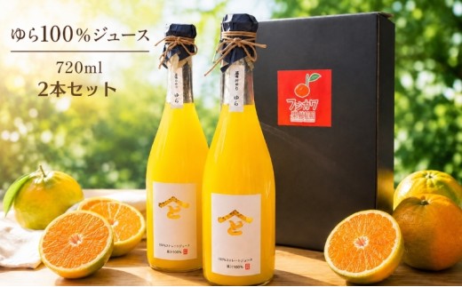 果樹園直送 無添加 ゆら100％ストレートジュース2本セット 果実飲料 柑橘 飲料 みかん 温州みかん