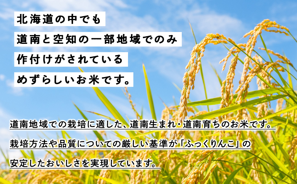 新米予約 ふっくりんこ 5kg 【JA新はこだて】 知内町 ふるさと納税 こめ 北海道産お米 北海道米 美味しいお米 北海道産米 ブランド米