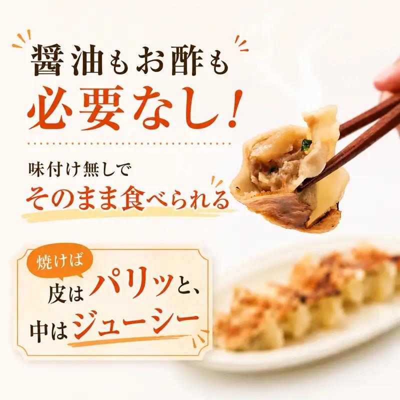 湘南餃子 100個 (50個×2箱) 国産 黒豚 野菜 餃子