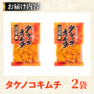 国産味付タケノコキムチ(100g×2パック) 国産 筍 辛味 ピリ辛 焼肉 おかず おつまみ キムチ メンマ めんま お試し 常温保存 【上野食品】a-3-1