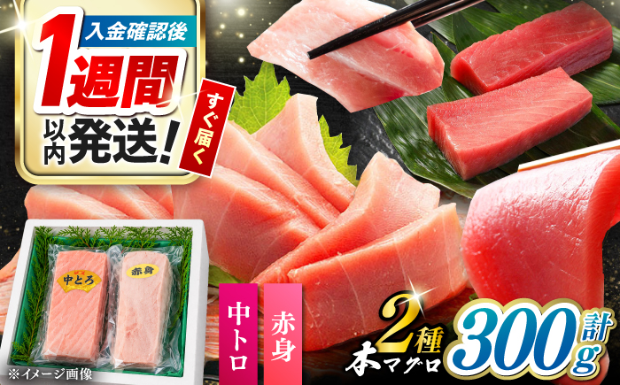 対馬産 本マグロ（赤身中トロ）300g 《対馬市》【対海】 赤身 中トロ まぐろ マグロ 鮪 [WAH051]