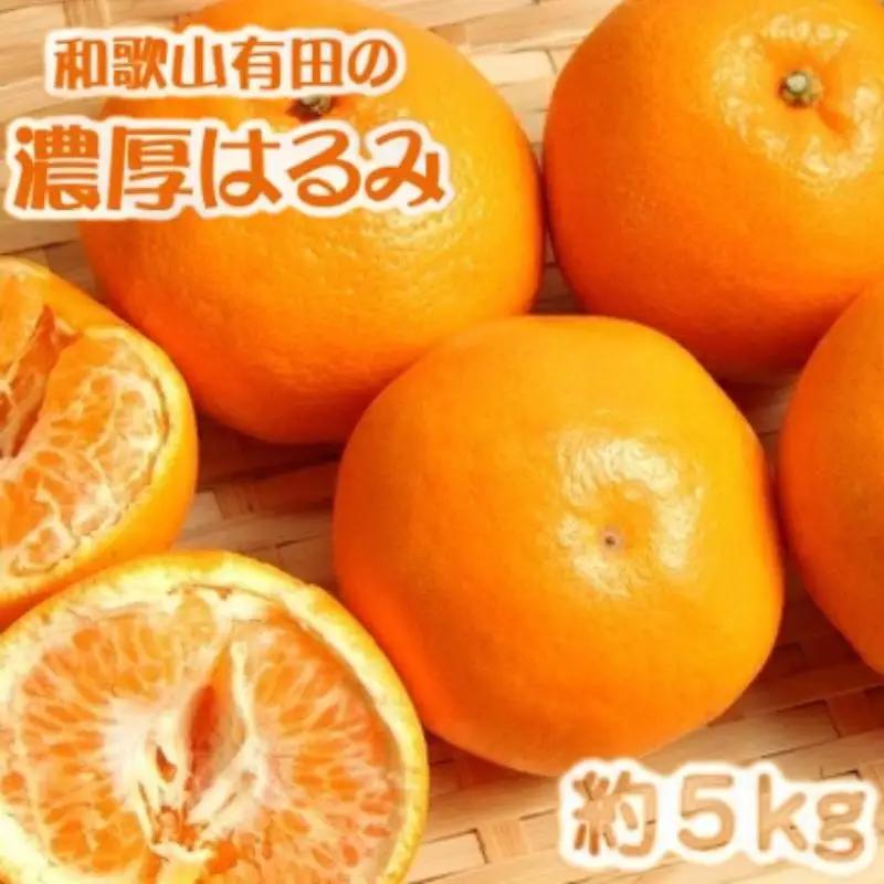 和歌山有田の濃厚はるみ　約5kg (Lサイズ)※2027/1/21～2/15（順次発送予定）【ard009C】