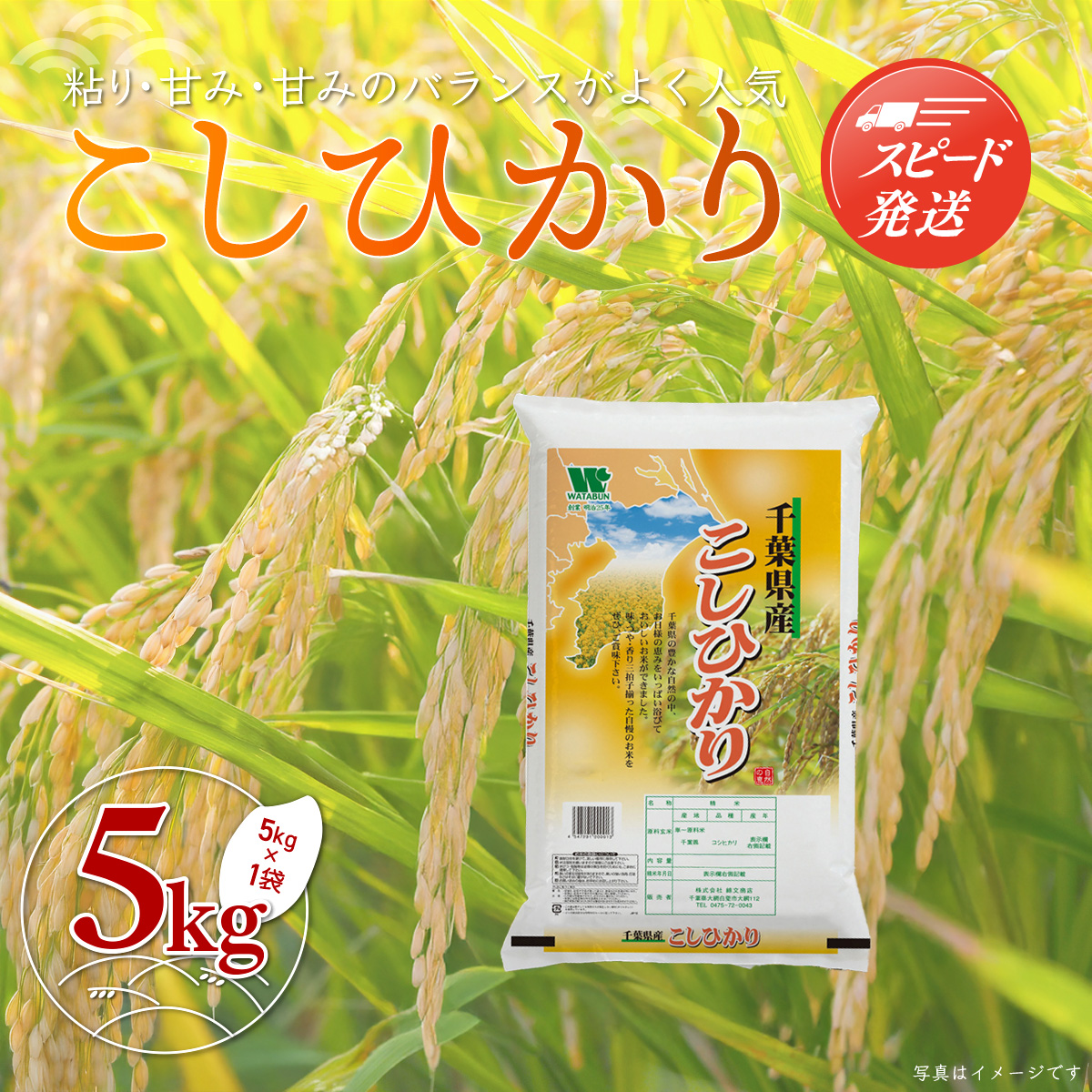 【最短2～7営業日出荷】令和7年産 千葉県産「コシヒカリ」5kg（5kg×1袋） お米 5kg 千葉県産 大網白里市 コシヒカリ 米 精米 こめ 送料無料 A052