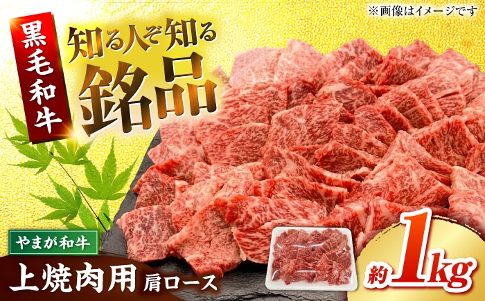 
                  やまが和牛 上焼き肉用 1kg 黒毛和牛 和牛 牛肉 お肉 肉 焼肉 【鹿本農業協同組合】 [ZAG016]
                