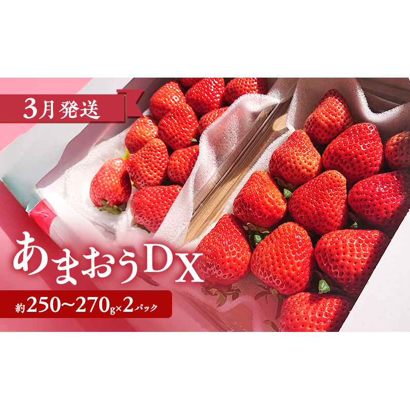 【2026年3月上旬より発送開始】【予約受付・3回定期便】あまおう贅沢セットNo.2 ※配送不可：北海道・沖縄県・離島_イメージ3