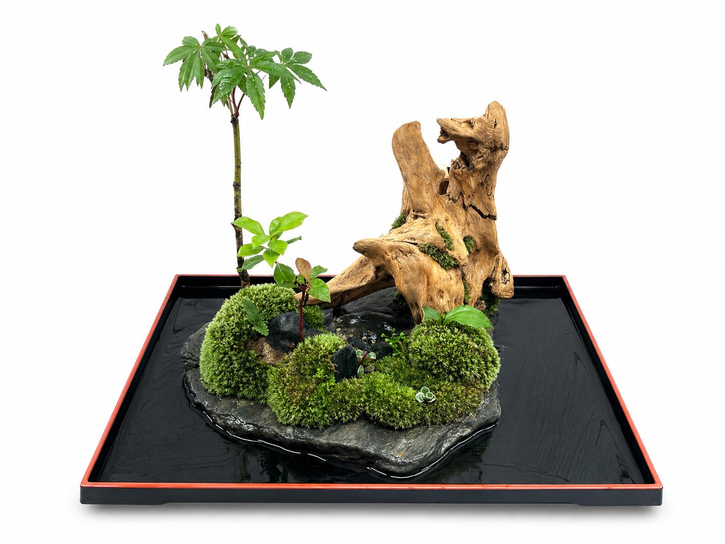 苔盆景川石山水画