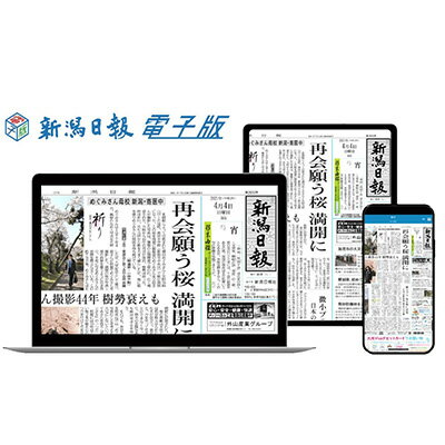 【ふるさと納税】新潟日報電子版　1カ月 雑貨 日用品