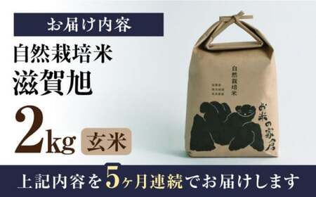 【先行予約】令和8年産 新米 5回定期 滋賀旭 2kg 玄米 [AQCP043]