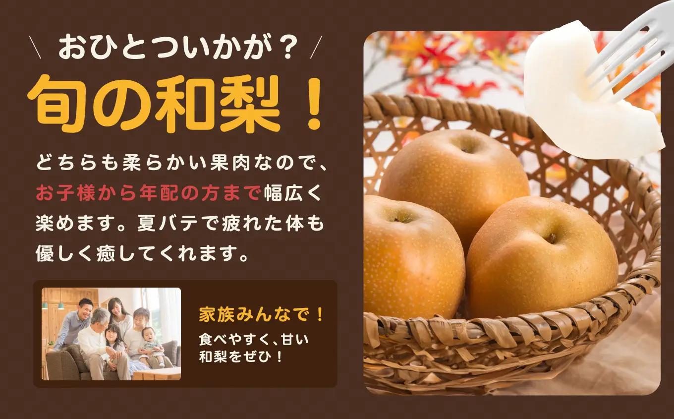 南信州産 梨 約10kg ＜ 幸水 ・ 豊水 ＞ いずれか1品種 おまかせ 【2026年8月中旬～発送】