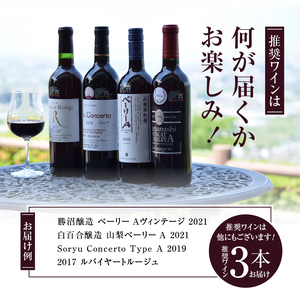 勝沼ぶどうの丘推奨赤ワイン3本+タートヴァン D-616