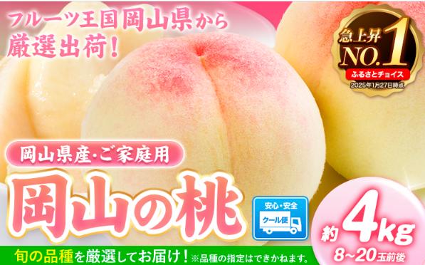 
                  桃 岡山県産 岡山の桃 約4kg  《2027年6月下旬-8月下旬頃発送》 ご家庭用 訳あり 白桃 岡山 白桃 はくとう スイーツ フルーツ 果物 デザート 旬 岡山県 矢掛町 モモ もも 送料無料 清水白桃 白鳳 白麗
                