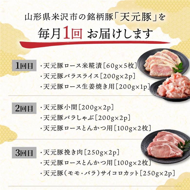 【定期便】 8ヶ月定期便 天元豚 セット 全8回 豚肉 ロース バラ 小間 モモ 挽き肉