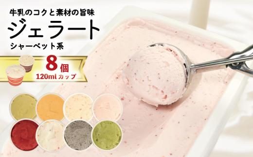 ジェラート  詰め合わせ 120ml 選べる 個数 8個  シャーベット系 のみ  冷凍 フルーツ ギフト プレゼント 贈答 お取り寄せ グルメ 季節限定 冷凍 徳島県 吉野川市 株式会社マイスター社