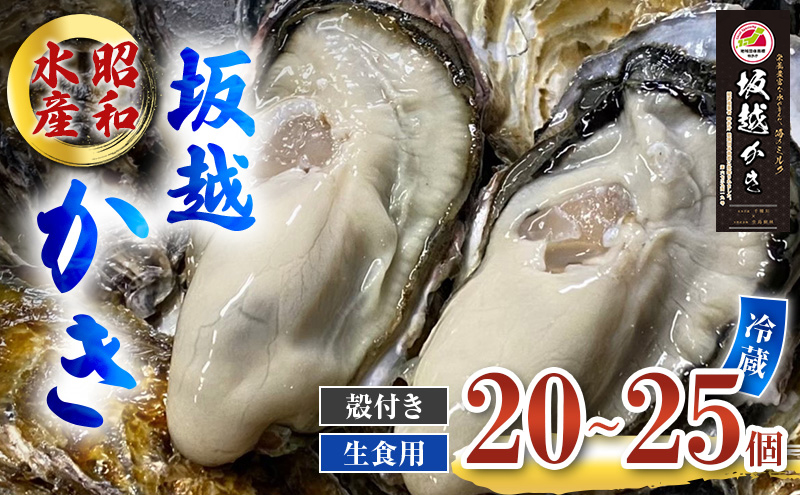 牡蠣 生食用 坂越かき 殻付き 20～25個 昭和水産 [ 生牡蠣 真牡蠣 かき カキ 冬牡蠣 ] 魚貝類 海鮮 海のミルク 身が大きい 濃厚 