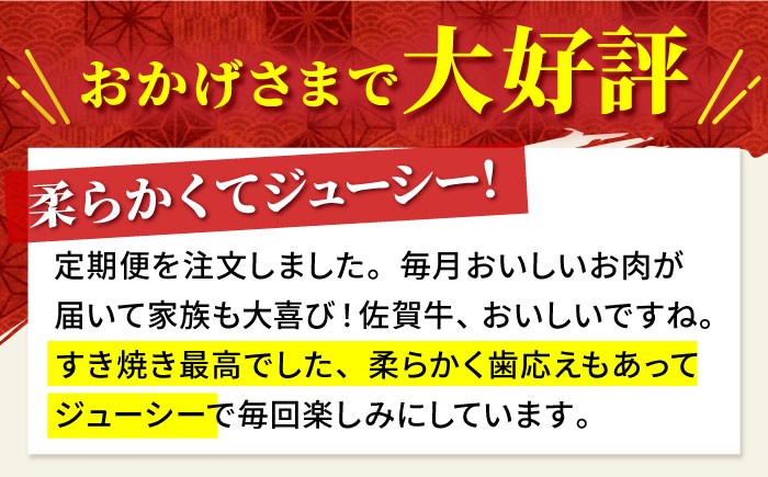 全6回定期便 佐賀牛 赤身スライス 500g 黒毛和牛 牛肉 定期便 赤身 しゃぶしゃぶ すき焼き 鍋 佐賀 定期 6回 6ヶ月