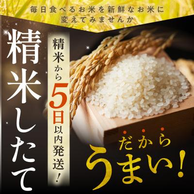 ふるさと納税 清水町 精米したての新鮮な味わい!北海道産 ゆめぴりか 5kg |  | 01