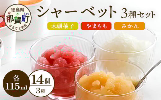 
            シャーベット 3種 計14個セット (ゆず・みかん・やまもも)【徳島 那賀町 木頭ゆず 木頭ユズ 木頭柚子 みかん ミカン やまもも ヤマモモ スイーツ デザート シャーベット 氷菓 アイス 氷菓子 果汁 無添加 国産 寒天 詰め合わせ 食べ比べ ギフト 贈り物 お取り寄せ グルメ お土産 冷凍】KM-3
          