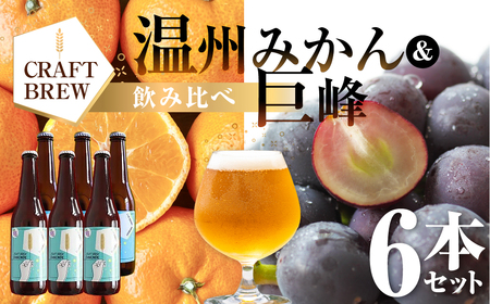 東三河の地産地消にこだわったクラフトビール『ＤＡＭＯＮＤＥ』巨峰・温州みかん（２種６本セット）