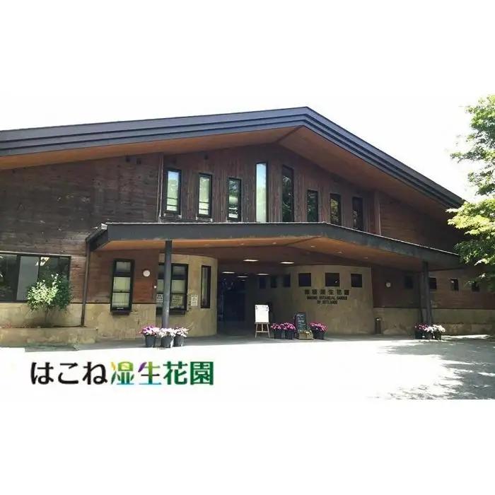 箱根ルルルン～やさしいバラの香り～フェイスマスク◆全280枚（10箱セット）［マスク］
