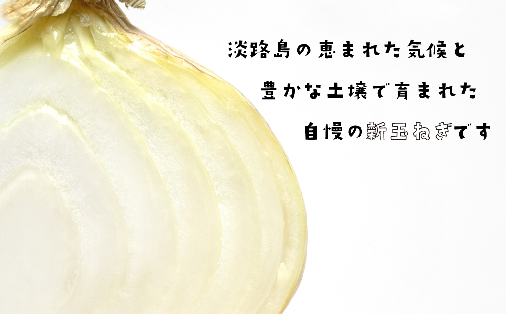 淡路島産新玉ねぎ 5kg　　[新玉ねぎ 新玉ねぎ 新玉ねぎ 新玉ねぎ 新玉ねぎ 新玉ねぎ]