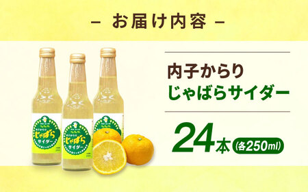 内子からりじゃばらサイダー 250ml×24本 BKAD018 サイダー