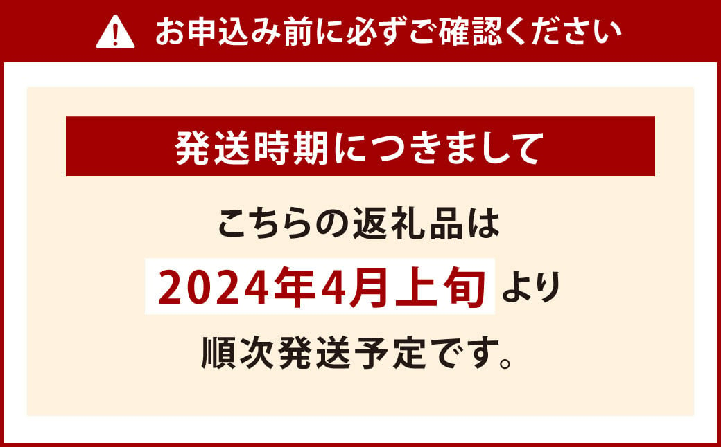 【期間限定】 若松 水切り トマト 1.2kg 程度 (16～30玉) 糖度9度基準 野菜 生野菜 新鮮 国産