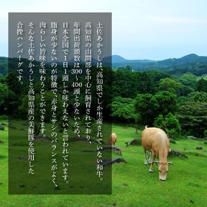 幻のあかうし和牛ハンバーグ 40個入り 1個130g 田野屋青蜂 白鯆 完全天日塩練り込み 肉 お肉 国産牛 土佐あかうし 四万十ポーク おかず 惣菜 おいしい お取り寄せ 冷凍 配送 高知県 田野町