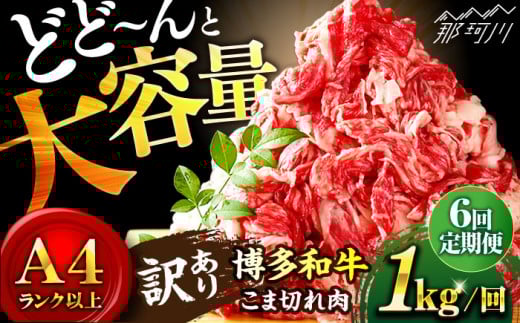 【全6回定期便】【たっぷり大容量！】博多和牛 切り落とし 1000g（500g×2P）＜株式会社MEAT PLUS＞那珂川市 [GBW014]