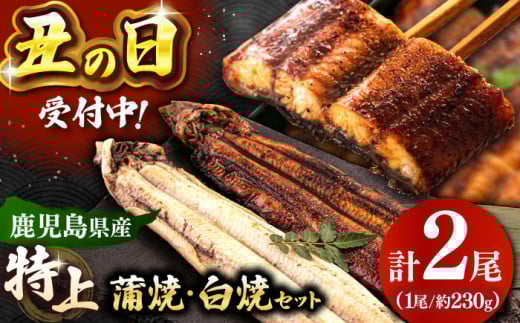 鹿児島産 うなぎ 2尾　蒲焼・白焼 食べ比べ セット 特製秘伝のタレ付き！ ▼うなぎ蒲焼 ウナギ 鰻 蒲焼 白焼 有頭 九州産 うな重 冷凍 かばやき 桂川町/山水商事 [ADAH007]
