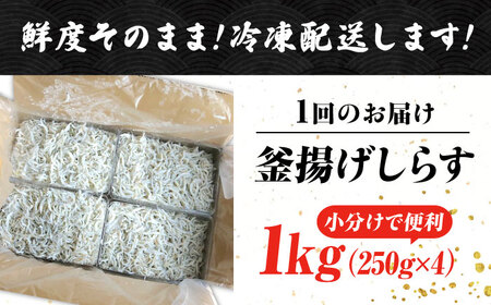 【全12回】冷凍釜揚げしらす1kg しらす[XCN010]