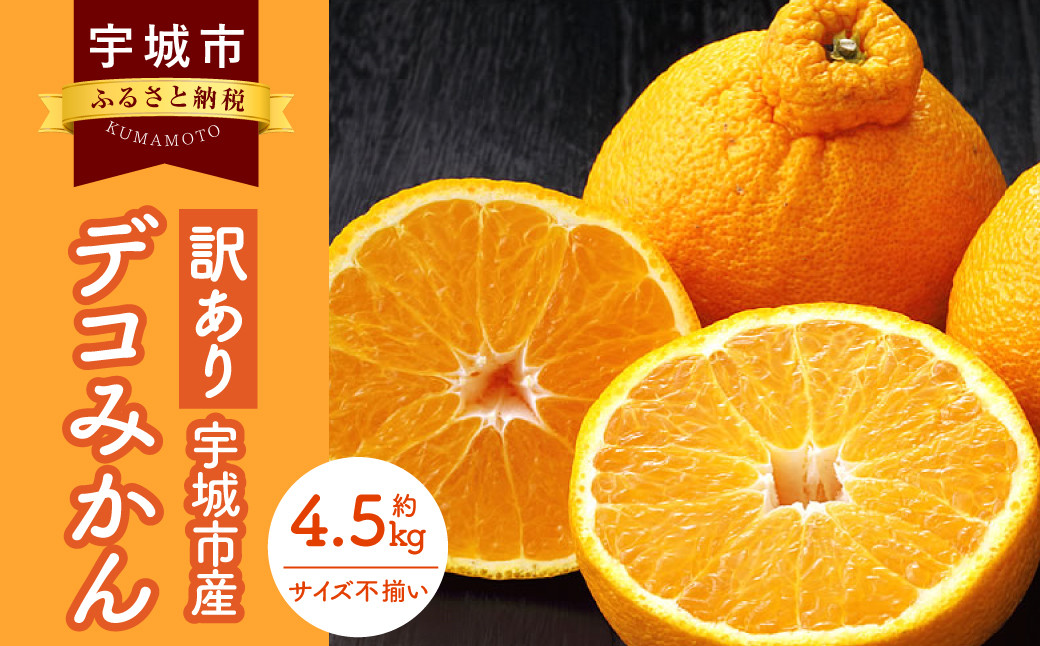 
訳あり デコみかん 4.5kg【2025年1月下旬から2025年4月下旬発送予定】 家庭用 規格外 フルーツ みかん 果物 果物 旬
