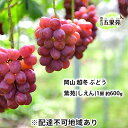 【ふるさと納税】越冬 ぶどう 紫苑 （しえん）1房 約600g 岡山県産 四代目 五果苑　 果物 フルーツ デザート 樹上完熟 平均糖度20度 減農薬 種なし 果汁たっぶり 　お届け：2024年11月下旬～2025年4月下旬