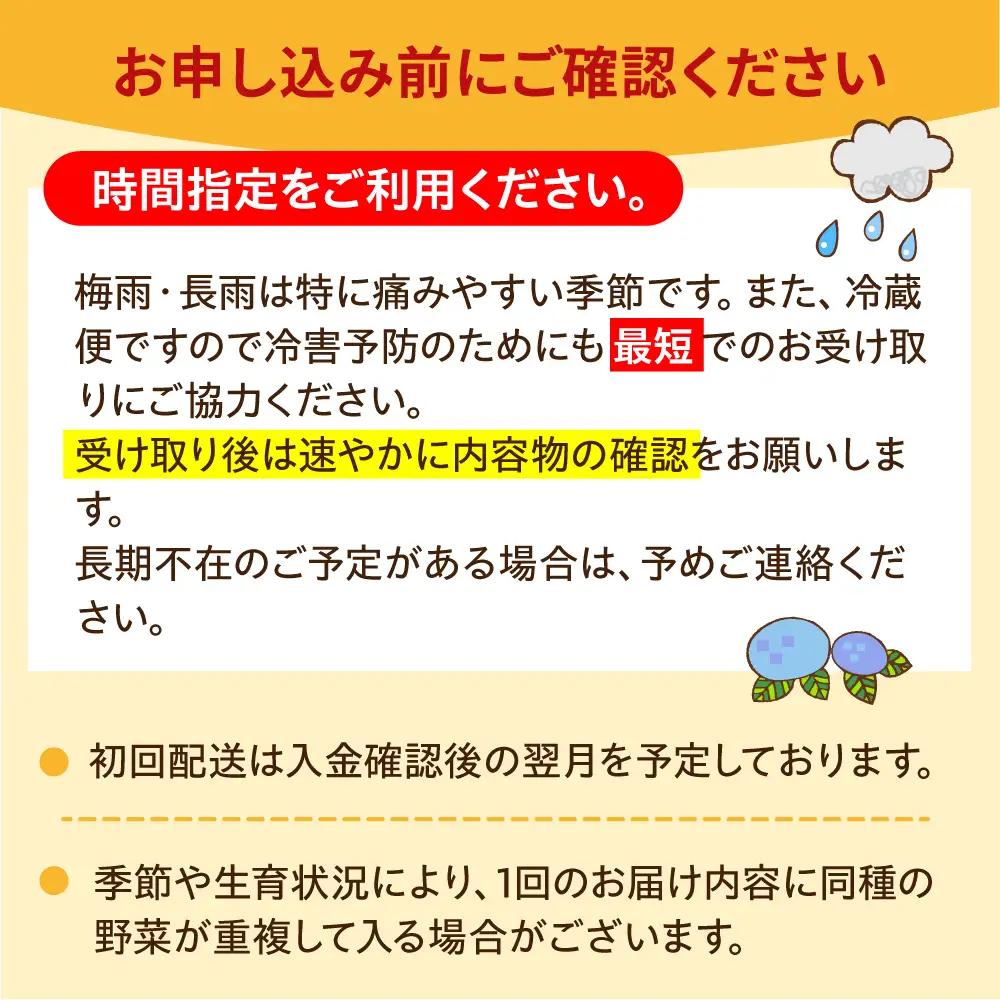 【16品 / 12回定期便】「よしのがり野菜」セット（ラージ）[FAA010]