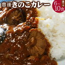 【ふるさと納税】豊後 きのこ カレー ＜選べる＞ 6食 10食 セット 1袋180g 椎茸 大分県産 レトルト 簡単 ギフト 贈答用 九州 大分県 送料無料